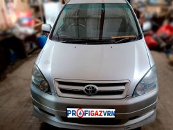 Toyota Ipsum